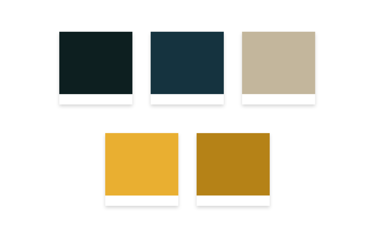Business Branding Design - color palette