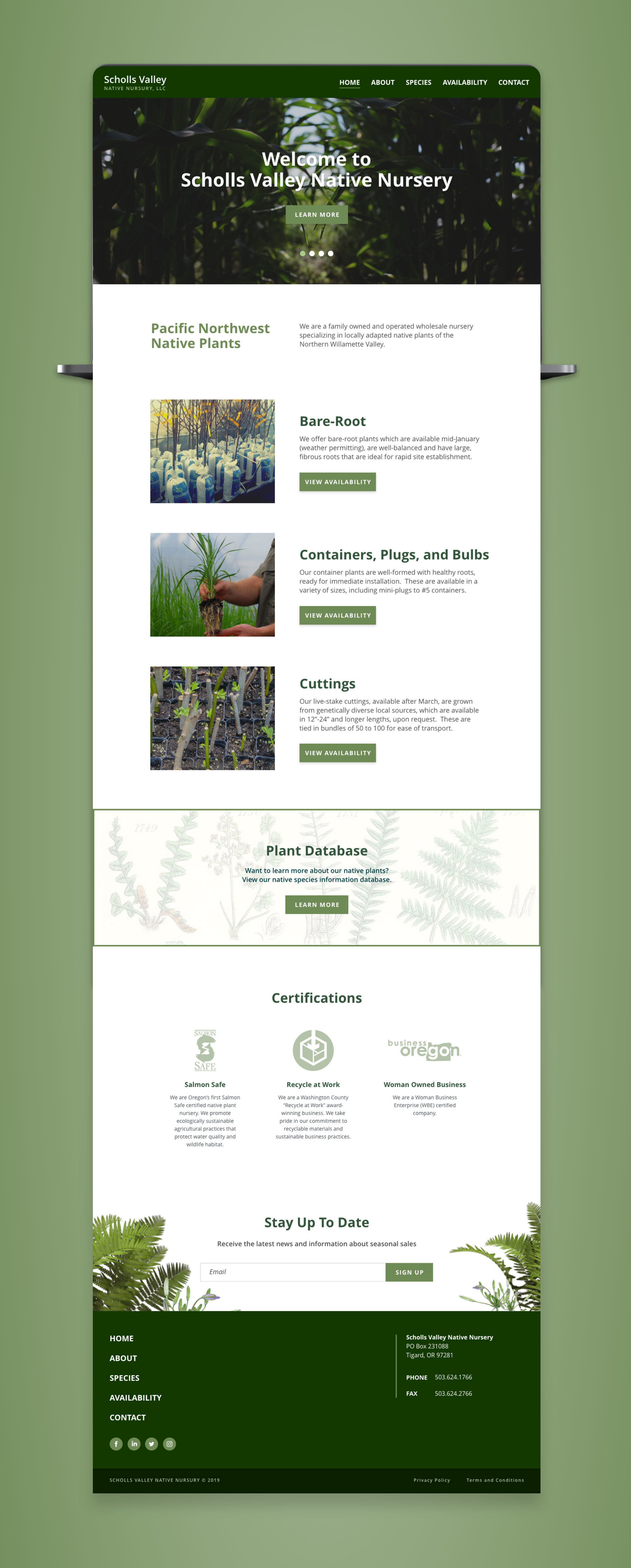 Scholls Valley Native Nursery new home page design